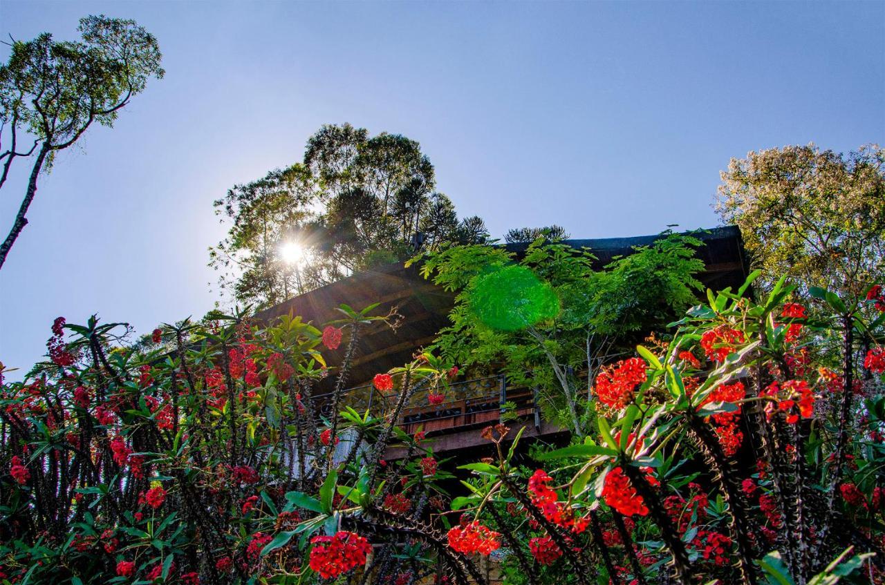 Inn Rancho Das Framboesas Visconde De Maua