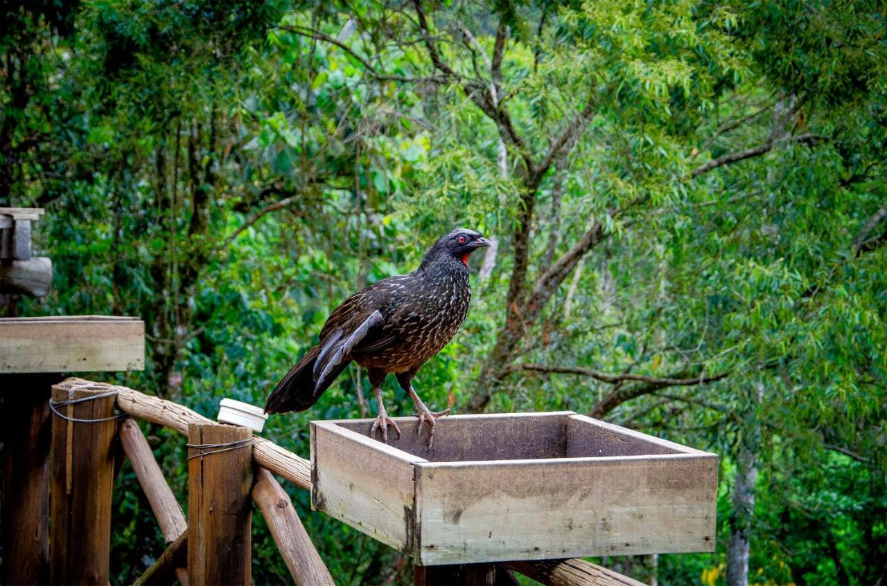 Inn Rancho Framboesas Visconde de Mauá